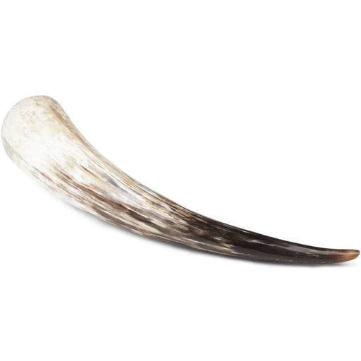 NC Living South african cow horn | Polished | 51+ cm. Horns Natural